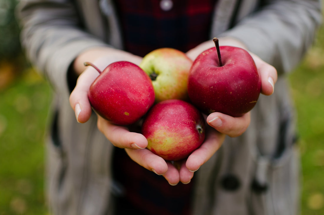 Kalorien von Äpfeln: Die wichtigsten Fragen und Antworten