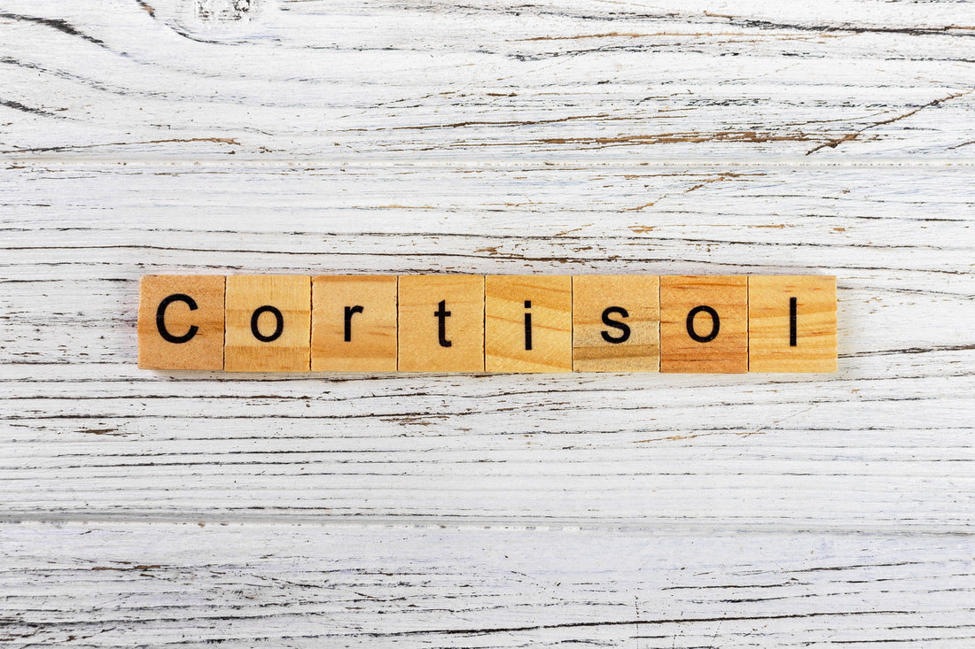 Cortisol: Was ist das und wofür ist es wichtig?