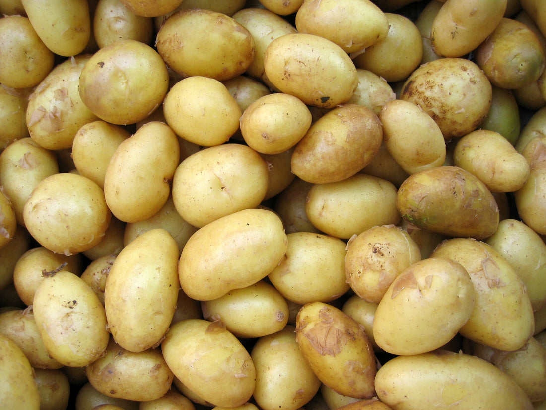 Kaloriengehalt von Kartoffeln: Die wichtigsten Fragen und Antworten
