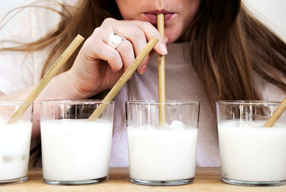 Ist Milch gesund? Die wichtigsten Infos und Fakten zusammengefasst